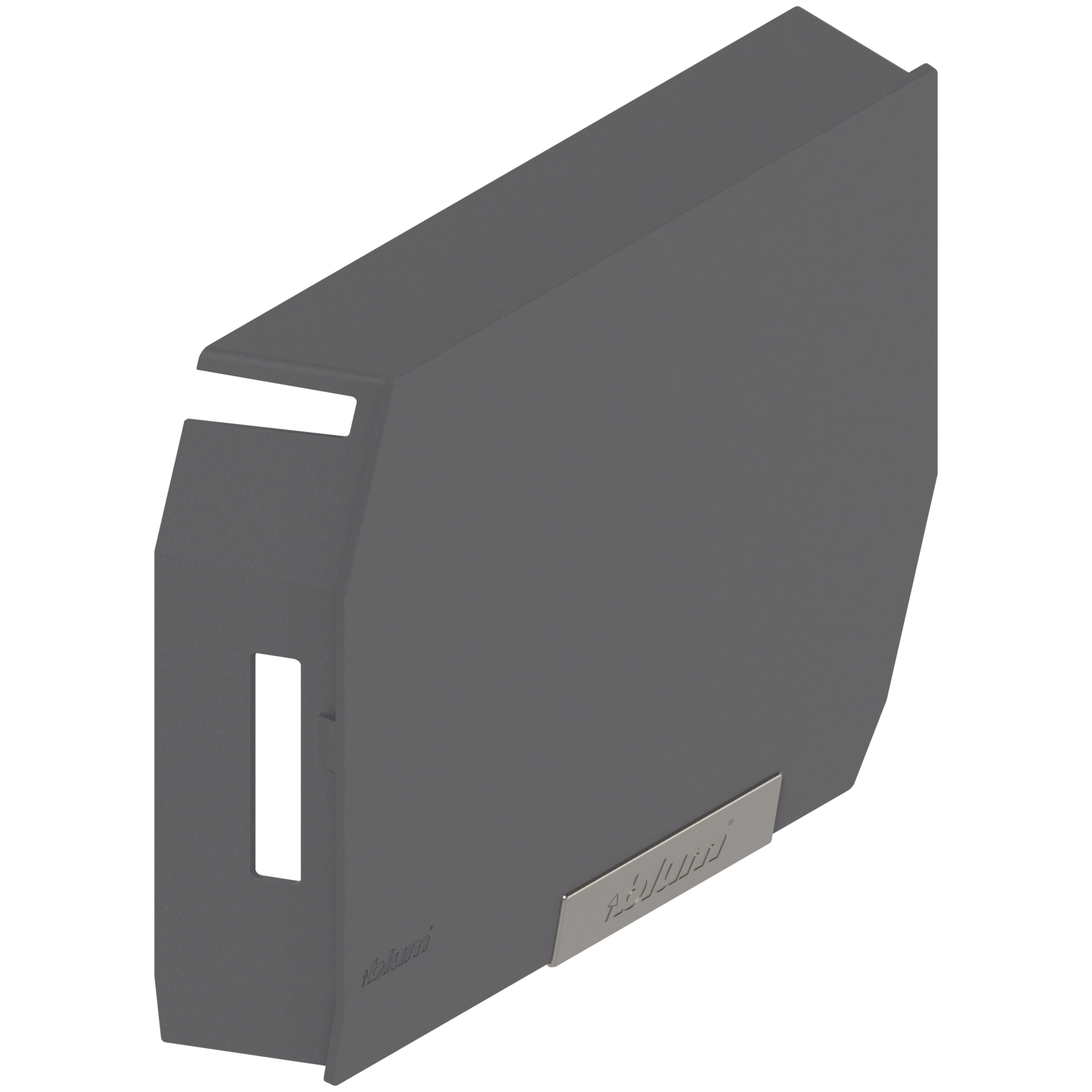 AVENTOS HK-S do małych frontów uchylnych, zaślepka, z zamontowaną małą zaślepką, prawa, ciemnoszary/inox